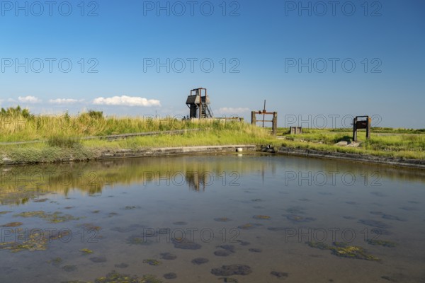 Pointe d'Arçay Nature Reserve in L'Aiguillon-la-Presqu'ile, France