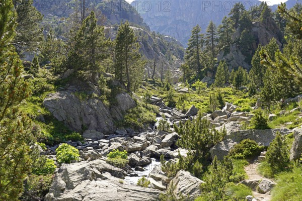 River in the Aigüestortes i Estany de Sant Maurici National Park, Catalonia, Spain