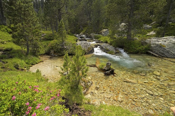The Riu de Monestero river in the Aigüestortes i Estany de Sant Maurici National Park, Catalonia, Spain