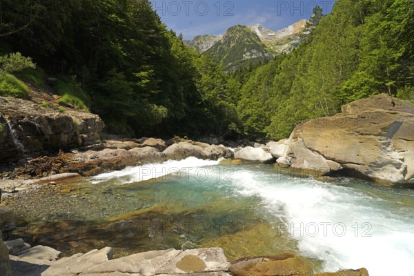 The River Ara in the Bujaruelo Valley or Valle de Bujaruelo near Torla-Ordesa, Spain