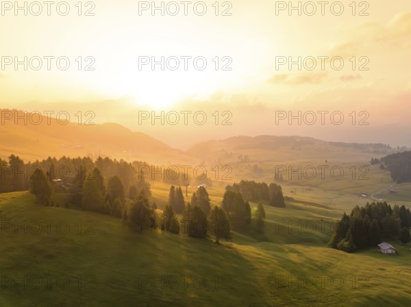 Wide, green landscape with trees and hills in the soft light of the sunrise, Alpe di Siusi, Dolomites, South Tyrol, Italy