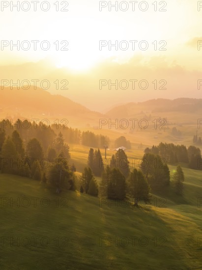 Dreamy sunrise mood with forests and mountains in the distance, Alpe di Siusi, Dolomites, South Tyrol, Italy