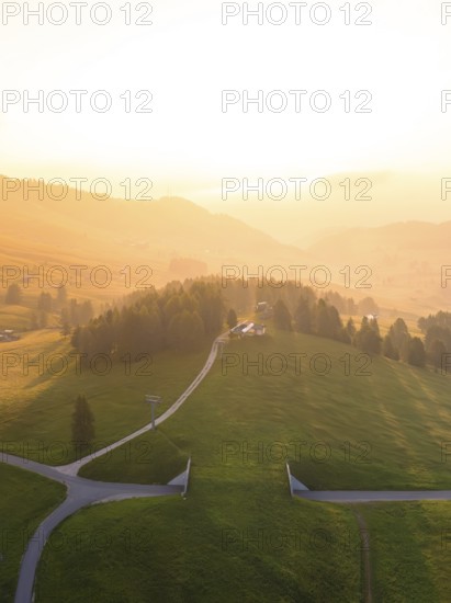 A path winds through a hilly, forest-lined mountain landscape, Alpe di Siusi, Dolomites, South Tyrol, Italy