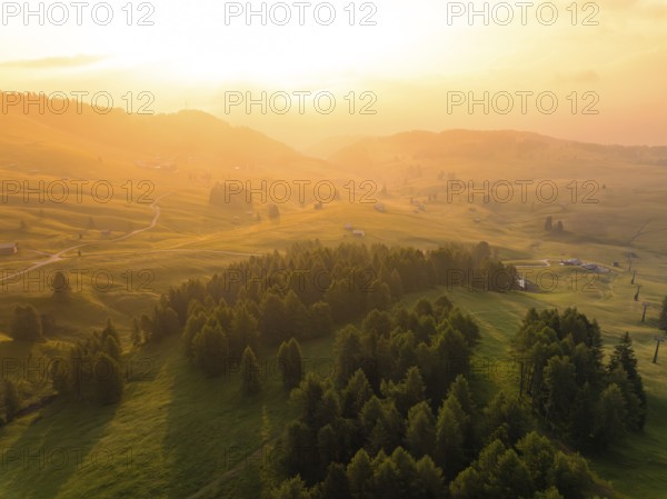 Wide valley view with trees in the warm light of the golden hour, Alpe di Siusi, Dolomites, South Tyrol, Italy