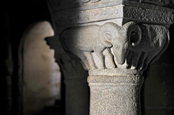 Column capital with ram, relief in stone, underground grove of columns, pagan crypt, 10th century, gloomy illumination, Cathedral of Acquapendente, Basilica of the Holy Sepulchre, Basilica Santo Sepolcro, Basilica minor, Aquapendente, Province of Viterbo, Lazio, Italy