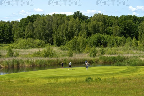 Golfers on the putting green of the golf course at the Golfhotel Balmer See Hotel-Golf-Spa, Balm, Island Usedom, Mecklenburg-Vorpommern, Germany