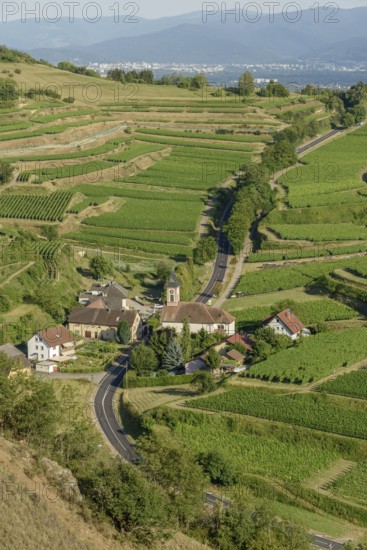 Het uitzicht toont een schilderachtig dorp omringd door uitgestrekte wijngaarden op de heuvels, met een kronkelige Weg die door het landschap slingert tijdens de namiddag. Vogtsburg im Kaiserstuhl, Germany