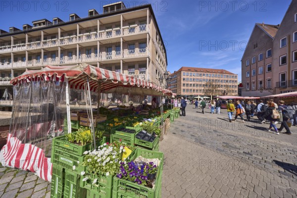 Pedestrian zone, market, market stalls, flower stall, pedestrians as secondary motif, blue sky, cirrostratus clouds, museum bridge, Plobenhofstraße, Spitalgasse, Nuremberg, Middle Franconia, independent city, Bavaria, Germany