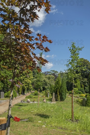 Under-tree burial, resting place, accessible place, Lutheran cemetery, Heisfelder Straße, Leer, East Frisia, Germany
