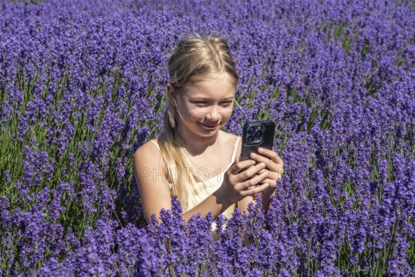 Blonde girl, 9 years old, photographing blooming lavender with a mobile phone in Köpingebro, Ystad Municipality, Skåne County, Sweden, Scandinavia
