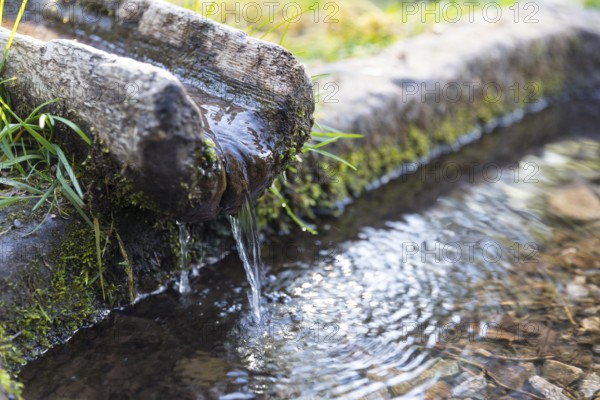 Ellbachsee view fountain, wooden water channel and sandstone water basin, Baiersbronn, Northern Black Forest, Baden-Württemberg, Germany