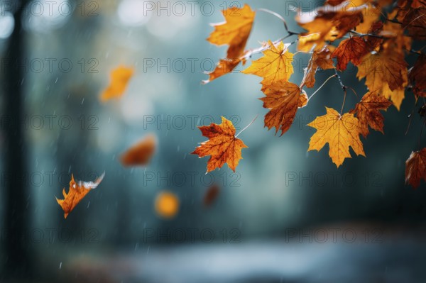 Colorful autumn leaves hanging in the air and falling to the ground. Red and orange autumn foliage, AI generated