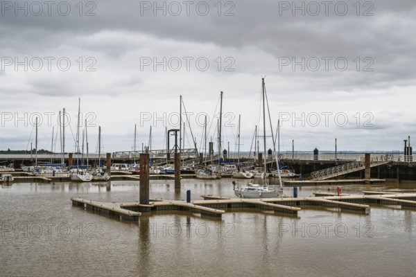 Pauillac, Gironde Estuary, Bordeaux, Gironde, Nouvelle-Aquitaine, France