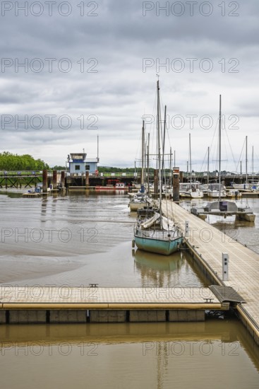 Pauillac, Gironde Estuary, Bordeaux, Gironde, Nouvelle-Aquitaine, France