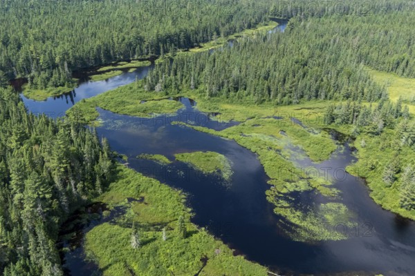Lake and islands with vegetation, Boreal forest, Mastigouche wildlife reserve, Region of La Mauricie, Province of Quebec, Canada