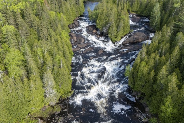 Rapids, White waters flowing through the boreal forest, River du Loup, Mastigouche wildlife reserve, Region of La Mauricie, Province of Quebec, Canada