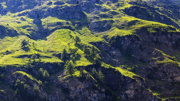 Green slopes above rock faces, Zinal valley, Val d'Anniviers, Valais Alps, Canton Valais, Switzerland