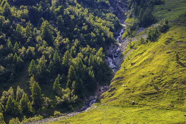 Waterfall cascading down the Zinal valley, Val d'Anniviers, Valais Alps, Canton Valais, Switzerland