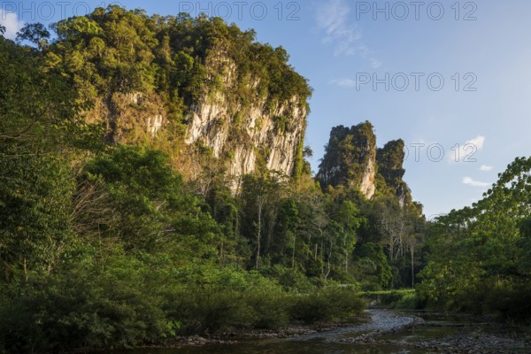 Jungle and rainforest with steep mountains, Khao Sok National Park, Phang Nga, Surat Thani, Thailand