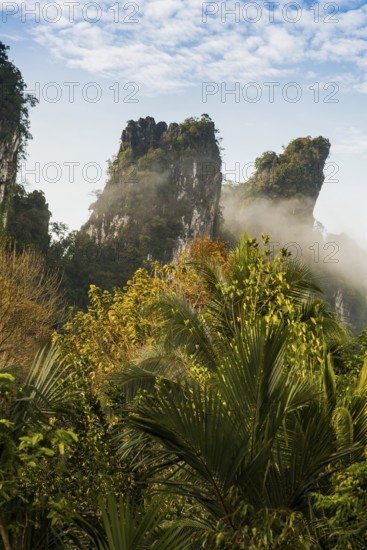 Jungle and rainforest with steep mountains, Khao Sok National Park, Phang Nga, Surat Thani, Thailand