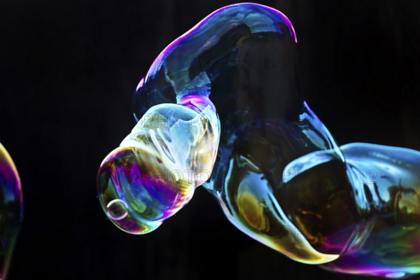Large, iridescent soap bubble tube in the colours of the rainbow against a black background, Recklinghausen, North Rhine-Westphalia, Germany