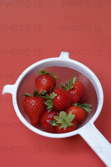 Strawberries in a colander on a red background, Fragaria