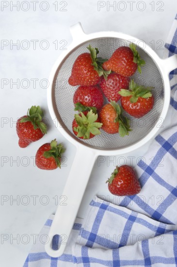 Strawberries in colander, Fragaria