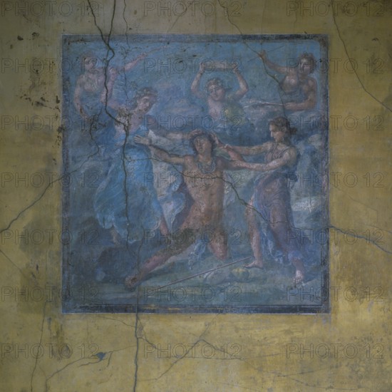 Frescoes from the House of Vettii, Aulus Vettius Conviva and Aulus Vettius Restitutus, Oecus, Pompeii, Italy
