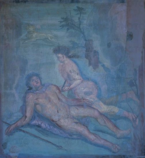 Mural of Loreius Tibeurtinus, Pyramus and Thisbe, Pompeii, Italy