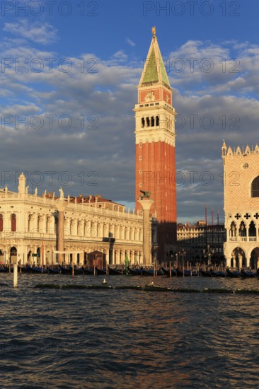Campanile and St Mark's Square at sunrise, Venice, Veneto, Italy