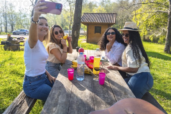 Four cheerful female friends enjoying a picnic outdoors, capturing the moment with a selfie
