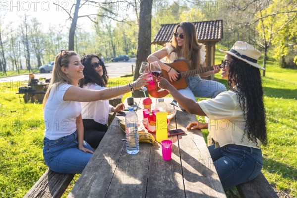 Four diverse friends are toasting with wine glasses during a picnic, while one plays guitar on a sunny day in a park
