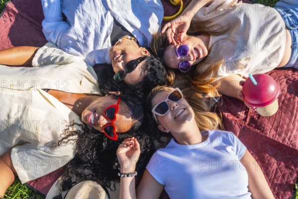 Four diverse female friends are relaxing on a blanket in a park, enjoying a sunny day together