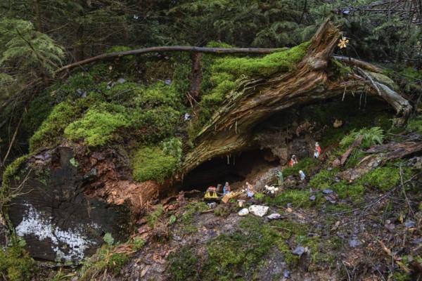 Mysterious cot, Christmas cot in natural surroundings, hidden in the forest, artists have built the cot in the middle of the forest in the Schiberg in Balve at Christmas time, Balver Wald, Sauerland, N, North Rhine-Westphalia, Germany, Western Europe