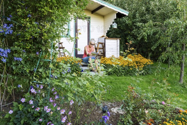 A woman sits relaxed on the small veranda of a garden shed and reads. Blooming summer flowers in the garden. Germany