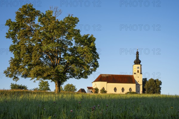 The pilgrimage church of the Assumption of the Virgin Mary in Weißenregen near Bad Kötzting. In the morning. Weißenregen, Bad Kötzting, district of Cham, Upper Palatinate, Bavarian Forest, Bavaria, Germany