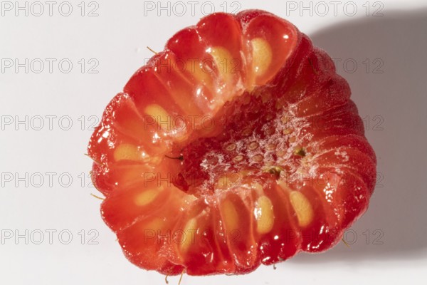 Sliced raspberry with visible seeds and juicy texture, macro image