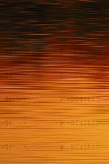 Colours of the sun... Sunset on the water (Lower Rhine, North Rhine-Westphalia), yellow red orange water reflection, reflection of the colours of the setting sun on a calm, only slightly moving water surface, local nature, Bislicher Insel, district Wesel, Rhineland, Lower Rhine, North Rhine-Westphalia, Germany, Western Europe