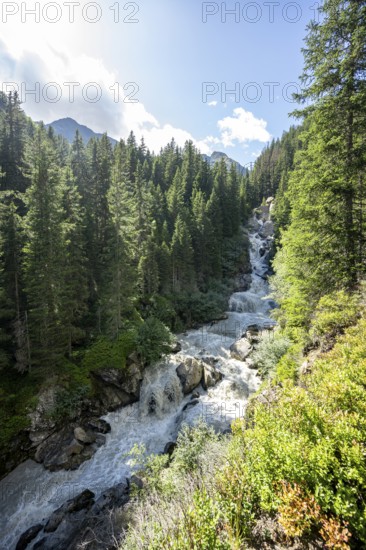 Waterfall at a roaring mountain stream between trees, Seebach stream in the Burkhardklamm gorge, Ridnauntal valley, South Tyrol, Italy