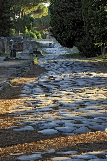 Ancient pavement of the main street Decumano Massimo, large paving stones, remains, ruins, ancient port city of Rome, excavation site Archaeological Park Ostia Antica, metropolitan city of Rome, Lazio, Italy