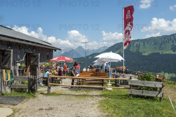 Osterberg Alpe, between Tiefenbach and Riezlern, Oberallgäu, Allgäu, Bavaria, Germany