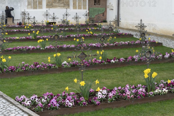 Colourfully planted row graves in the cemetery of the Neustift St Margarethen monastery, Vahrn, district of Bozen, South Tyrol, Italy