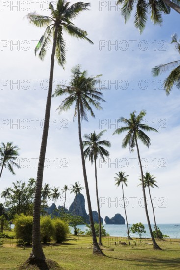Tonsai Beach, Ton Sai Bay, Ao Nang, Krabi, Thailand