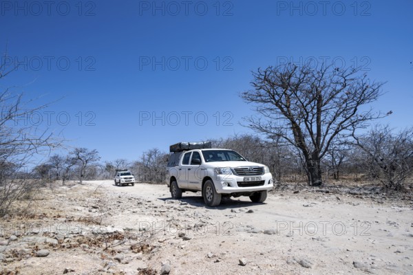 Two off-road vehicles between dry bushes on a sandy track, Makgadikgadi salt pans, Botswana