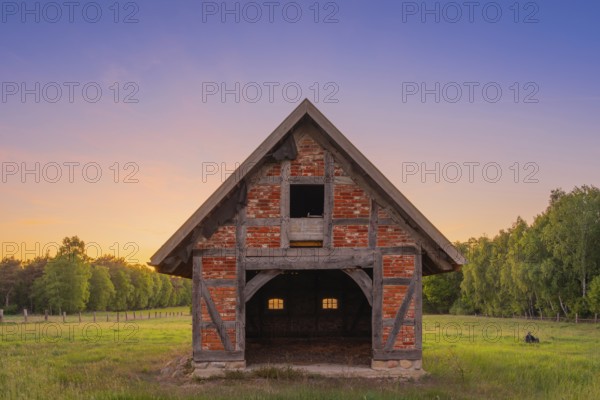 View of an open half-timbered barn standing on a pasture in the sunset, meadow, spring, awakening, new, colours, season, landscape photo, nature photo, flora, fauna, landscape format, pasture, grasses, lowland, sky, clouds, Stöckse, Steimbke, Nienburg Weser, Lower Saxony, Germany