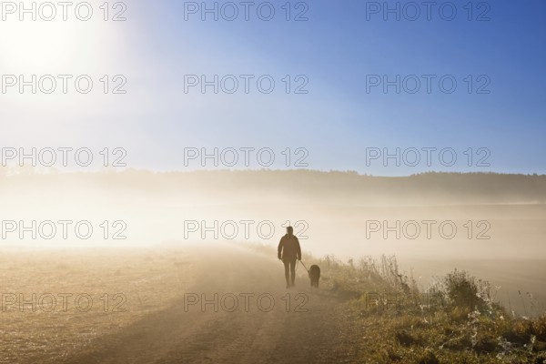 Woman walking the dog on a dirt road in the morning fog in a rural landscape in autumn