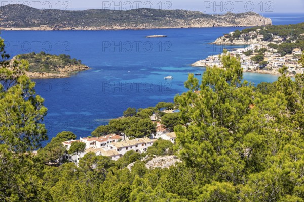 View at a coast village with white houses by a sea bay and a scenic sea view and lush green trees a sunny summer day at the mediterranean sea, Sant Elm, Mallorca, Spain