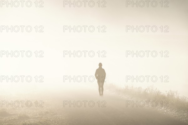 Alone woman in backlight walking on a dirt road in morning fog in a rural landscape in autumn