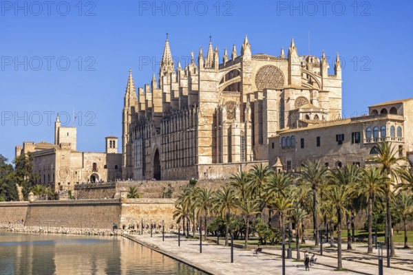 View at Palma Cathedral a famous Gothic Roman Catholic cathedral with the city walls and the Royal Palace of La Almudaina by a public park with palm trees and a pond a sunny summer day, Palma de Mallorca, Mallorca, Spain