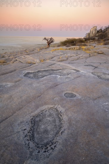 Rocks with salt crust on Kubu Island, view over the salt pan at sunset, Kubu Island (Lekubu), Sowa Pan, Makgadikgadi Salt Pans, Botswana